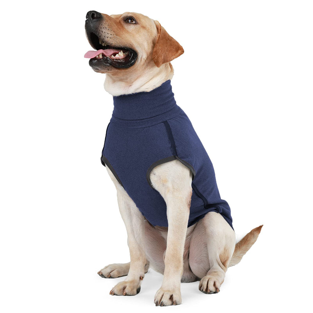 Dotoner dog-sweater-pullover-navy-xxxlarge keeps dogs warm during chilly outdoor walks.