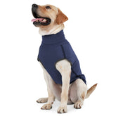 Dotoner dog-sweater-pullover-navy-xxxlarge keeps dogs warm during chilly outdoor walks.
