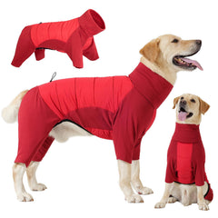 Dotoner dog sweater with waterproof back shields light rain during walks.