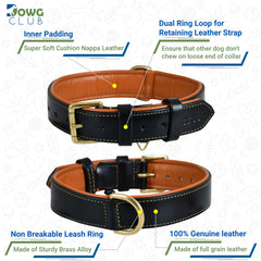 DowgClub brass hardware detail—sturdy buckle and D-ring resist rust during daily use.