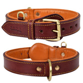 DowgClub genuine leather collar closeup highlights durable daily wear.