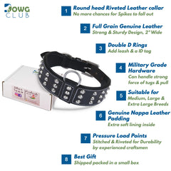 Handmade stitching on DowgClub collar signals artisanal quality and durability