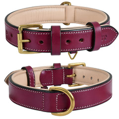 DowgClub leather dog collar large dark pink buckle shows sturdy hardware for daily wear