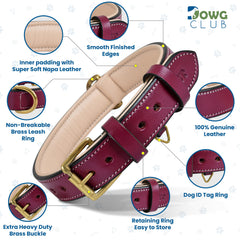 DowgClub collar polished edges preventing fur snag during play