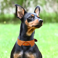 DowgClub tuxedo collar padding closeup emphasizes premium material and tactile softness.