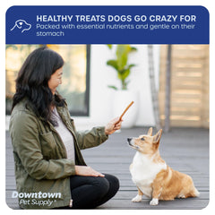 Downtown Pet Supply bully sticks non-splintering texture, closeup highlights durability and safety.