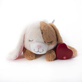 Downtown Pet Supply heartbeat puppy toy pulse calms anxious dogs during stressful moments