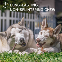 Downtown Pet Supply low odor bully sticks ideal for indoor chews.