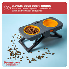 Downtown Pet Supply raised dog bowl two bowls set for food and water on trips.
