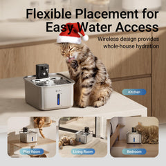DownyPaws FurSink motion sensor activates drinking flow.
