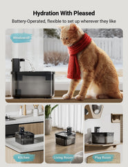 DownyPaws fursink wireless cat waterer motion sensor demonstrates automatic refills
