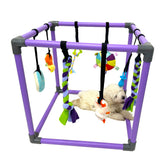 DOZZOPET Puppy Play Gym frame: safe PVC construction for indoor enrichment.