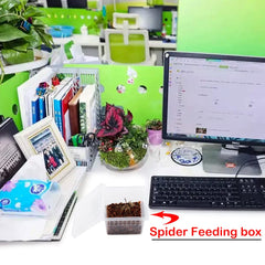 DQITJ airhole detail promotes ventilation for small spiders and insects.