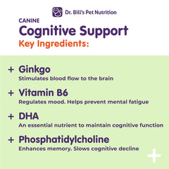 Dr. Bill’s Canine Cognitive Support L-Carnosine closeup highlights protective peptide.