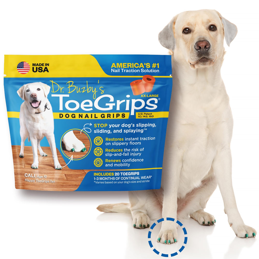 Dr. Buzby's XXLarge ToeGrips on dog nail tip demonstrate gripZone traction for slick floors.