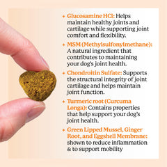 Dr. Harvey's green-lipped mussel boost image highlights natural joint-supporting ingredients.