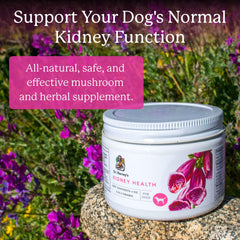 Dr. Harvey's Kidney Health dog serving dish highlighting easy meal mixing
