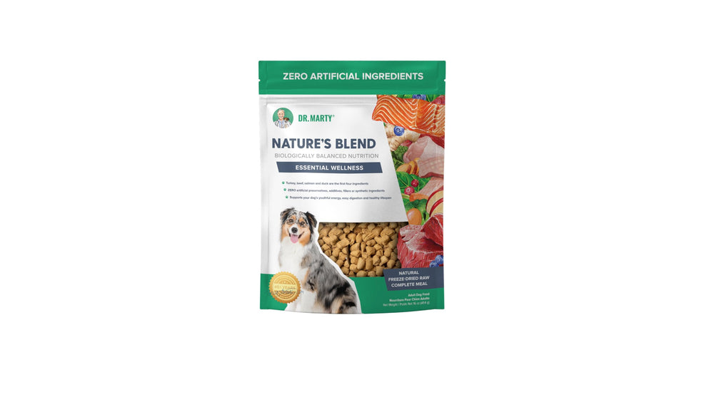 Dr. Marty Nature's Blend Essential Wellness freeze-dried dog food in a bowl supports digestion and vitality.