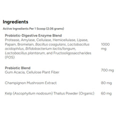 Dr. Marty ProPower Plus powder topper shown with dog food for easy use