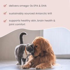 Dr. Mercola Bark and Whiskers omega DHA label with EPA and DHA content for brain support