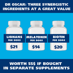Dr Oscar skin and coat support for dogs showing shiny coat potential.