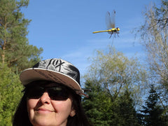 Dragonfly Wingman organic-eco-design emphasizes sustainable deterrence for outdoor spaces.