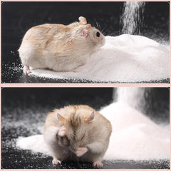 DR.DUDU small-pets bath sand setup supports digging behavior