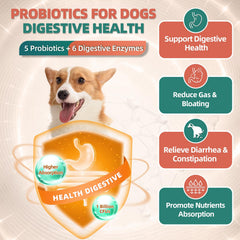 DRFOSTER dog multivitamin glucosamine joint-support chews aid mobility