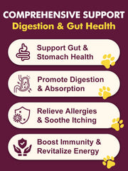 DRFOSTER dog probiotics chews taste appealing and support easy daily gut health.