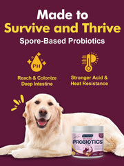 DRFOSTER dog probiotics spore technology showcases resilient strains for reliable gut delivery.