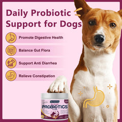 DRFOSTER dog probiotic chews showcase tasty treats for digestion support.
