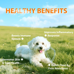 Drloton dog chews soft texture support easy daily dosing and palatable taste.