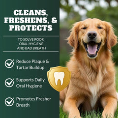 DRMOIS dog teeth powder scoop in tub for simple daily dosing.