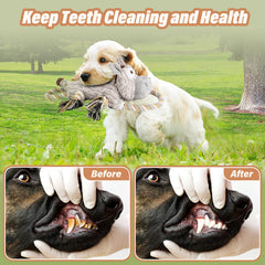 Drmstow dog toy rope tug interaction promotes interactive play and dental-friendly chewing.