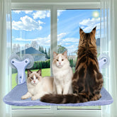 DSCANDYMQ cat window perch hammock setup angle shows sturdy mounting for safe sunbathing.