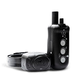 DT Systems DD700 Director full setup shows transmitter and collar for versatile field training