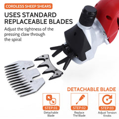 DUCKBOY cordless sheep shears deliver up to 2800 rpm for efficient grooming.