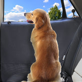 Durapower dog door protector front view showing wide coverage.