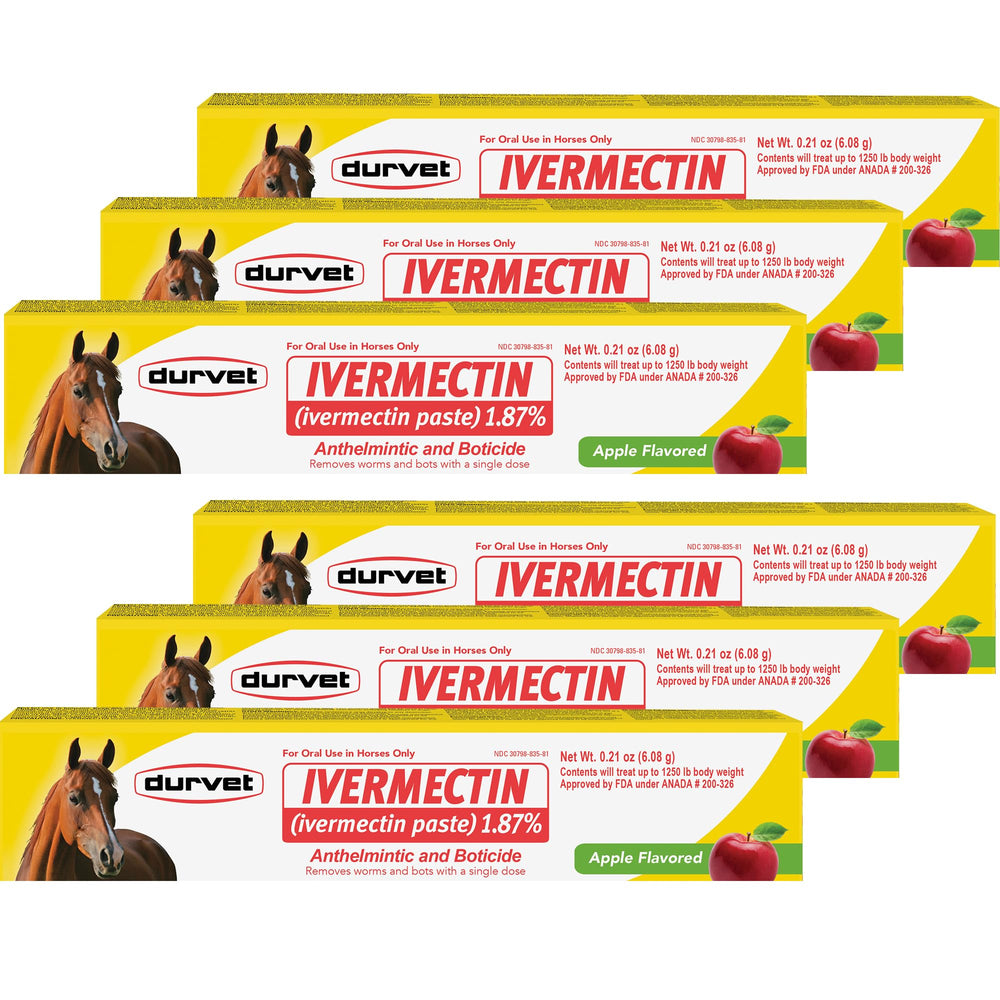 Durvet Ivermectin Paste apple flavored syringe for easy equine deworming
