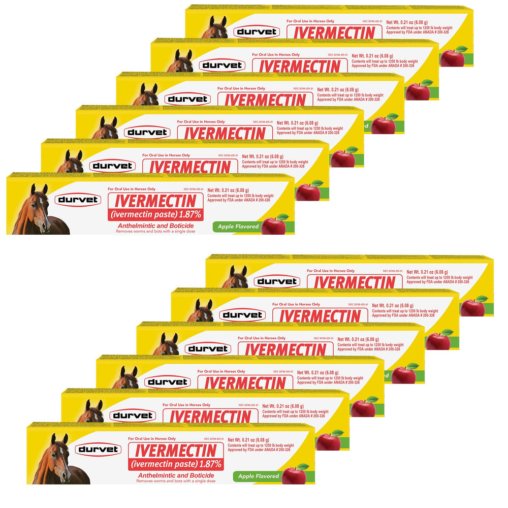 Durvet ivermectin paste apple-flavored syringe ready for easy equine dosing.