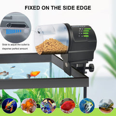 DXOPHIEX WiFi Fish Feeder app control enables feeding from anywhere