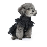 DZTYG Wednesday Dress on a black coat front view showing easy-on cosplay for pets