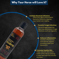 Applying E3 shampoo to horse coat during grooming for clean, comfortable skin