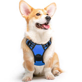 Eagloo dog harness blue front strap for quick on-the-go adjustments.