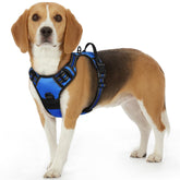 Eagloo dog harness blue front view showing quick-fit design for walks