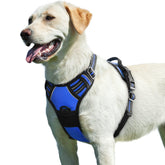 Eagloo dog harness blue front view with quick-snap buckles for fast wearing.