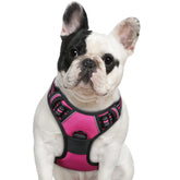 Eagloo dog harness front chest ring in rose red for improved training control.