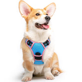 Eagloo dog harness back view shows no-pull control for calmer walks.