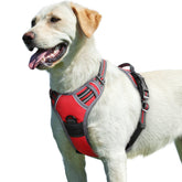 Eagloo dog harness large red front view shows adjustable fit for comfort