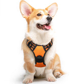 Eagloo dog harness medium front view showing easy on/off with quick-snap buckles
